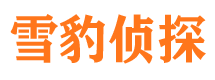 江津找人公司